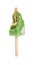 mostly eaten green bean popsicle on white background