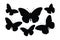 Moth and butterfly black and white silhouette vector bundle. Wild butterflies flying silhouette set design. Monarch standing and