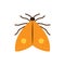 Moth butterfly insect single flat vector icon