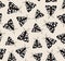 Moth butterfly pattern vector