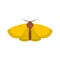 Moth icon, flat style.