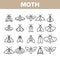Moth, Insects Entomologist Collection Vector Linear Icons Set