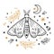 Moth isolated on white. Celestial moth. Hand drawn butterfly, moon, stars, floral branches. Moths tattoo illustration