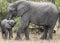 Mother and baby African elephants, Loxodanta Africana, up close with natural African landscape in background