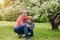 Mother and baby in blooming garden. Mom and child in spring. Springtime family scene. Flowers of apple or cherry tree