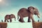 Mother and baby elephant on a tightrope