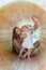 Mother and baby playing in the wooden tunnel on the Eco-friendly playground. Vertical frame