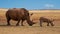 Mother and baby rhino are standing next to each other