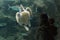 Mother and baby smiling watching turtle and fish in front of aquarium glass