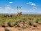 Mother and Baby Wild Horses, Utah