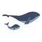 Mother blue whale with child. Hand drawn vector