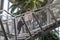 Mother and child climbing stairway inside a winter garden hot glass house with tropical plants