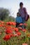 Mother and child in the corn poppy