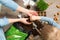 Mother and child planting seeds at home in fertile black earth. In background freshly grown sprouts. Spring and gardening concept