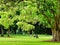 Mother, Child and Pram in Hyde Park, Sydney, Australia