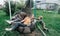 Mother and child ride on a wicker rattan cocoon swing. son shakes a woman, shakes a summer vacation in nature