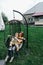 Mother and child ride on a wicker rattan cocoon swing. son shakes a woman, shakes a summer vacation in nature