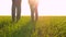 A mother and child walk on the green grass at sunset. Legs close up. The concept of a happy family, travel and health.