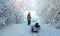 Mother with a child walks on a frosty winter morning on a Sunny day. Baby wrapped in a blanket rides on a sled