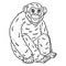 Mother Chimpanzee Isolated Coloring Page for Kids