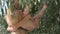 Mother cradles a baby under the canopy of a tree