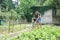 Mother and daughter engaged in gardening together