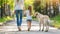 Mother and daughter enjoying sunny day stroll with their adorable dog in the park