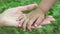 Mother and daughter hands on grass background. Hand in hand