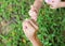 Mother and daughter making a pinkie promise in the green grass garden