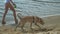 Mother and daughter run along the river bank with a dog. Sunny summer day. Family holiday