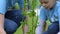 Mother and daughter volunteers planting tree in park, social eco project, nature