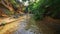 Mother Daughter Walk in Rippled Water of Fairy Stream Backside