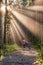 Mother and Daughter Walking in a Forest