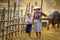 Mother and daughter were walking in the fields with buffalo in the morning. mom and daughter enjoy at rice field together outdoor