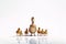 Mother duck with her family of ducklings on white background,Great family or team metaphor,AI generated