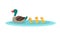 Mother duck and little ducks in water. Ducklings swimming in row. Cartoon vector illustration