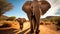 A mother elephant and her calf walking together in the pathway in Africa, generative AI