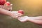 Mother farmer hand giving a apple to little child girl hand