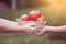 Mother farmer hand giving basket of apples to little child girl