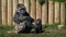 Mother gorilla with baby at the zoo