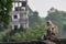 Mother Gray Langur also known as Hanuman Langur with her baby.