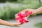 Mother hand giving a gift box to her child. Holidays, present,