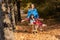 Mother have fun time with kid, use garden wheelbarrow