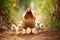 Mother Hen With Her Adorable Chicks Wandering In Farmyard. Generative AI