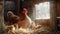 Mother hen with her chicks in a cozy barn, basking in sunlight. rustic farm scene captures the essence of country life