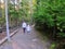 A mother and her young daughter walking through the forests of pacific spirit regional park in Vancouver, British Columbia, Canada