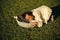 Mother hug baby son asleep in crib on green grass