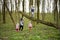 Mother with kids and boy climbed a felled tree in spring forest. Happy childhood moments