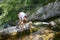 Mother with kids drinking water from a pure, fresh and cool mountain stream on a family trip