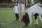 Mother and kids feed a horse in outdoor